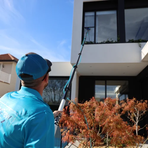Window cleaning 1